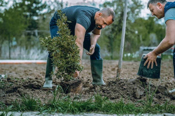 Best Emergency Tree Removal  in Georgiana, AL